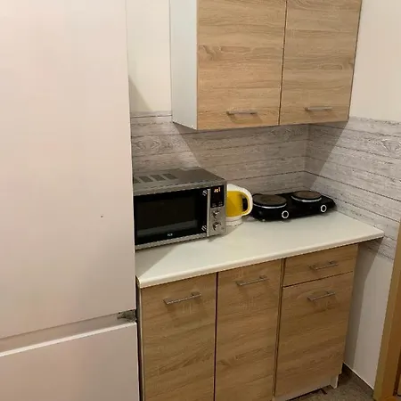 Apartment Holiday Home Prague *